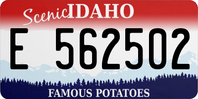 ID license plate E562502
