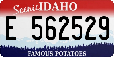 ID license plate E562529