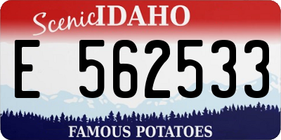 ID license plate E562533