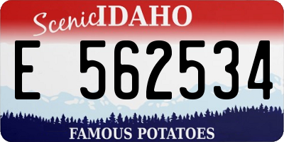 ID license plate E562534