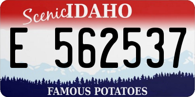 ID license plate E562537