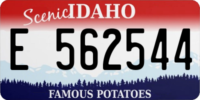 ID license plate E562544
