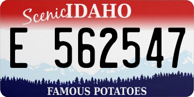 ID license plate E562547