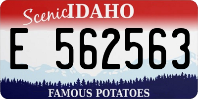 ID license plate E562563