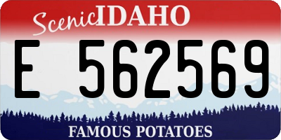 ID license plate E562569