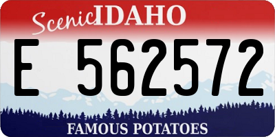 ID license plate E562572