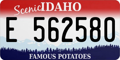 ID license plate E562580