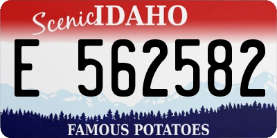 ID license plate E562582