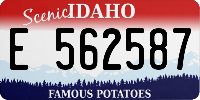 ID license plate E562587