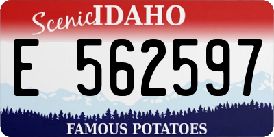 ID license plate E562597