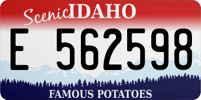 ID license plate E562598