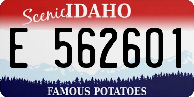 ID license plate E562601