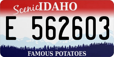 ID license plate E562603