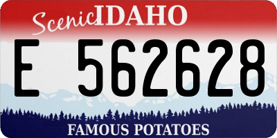 ID license plate E562628