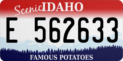 ID license plate E562633