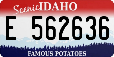 ID license plate E562636
