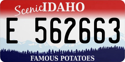 ID license plate E562663