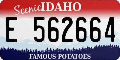 ID license plate E562664