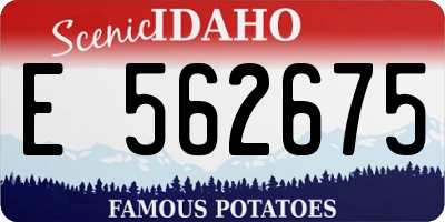 ID license plate E562675