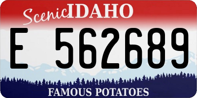 ID license plate E562689