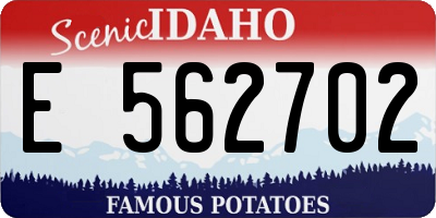 ID license plate E562702