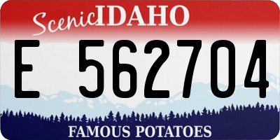 ID license plate E562704
