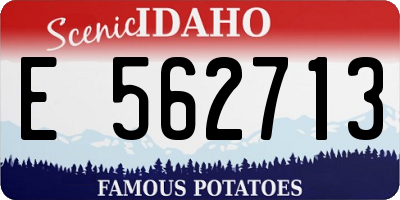 ID license plate E562713