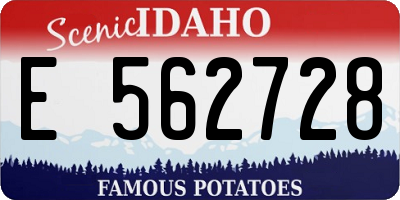 ID license plate E562728