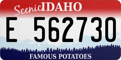 ID license plate E562730