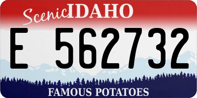 ID license plate E562732