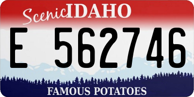 ID license plate E562746