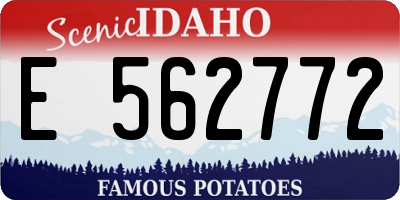 ID license plate E562772