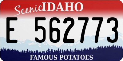 ID license plate E562773