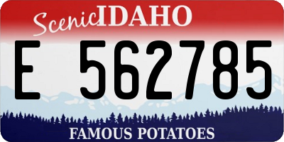 ID license plate E562785