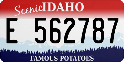 ID license plate E562787