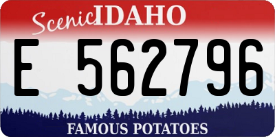 ID license plate E562796