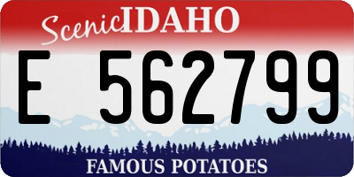 ID license plate E562799