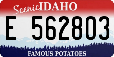 ID license plate E562803