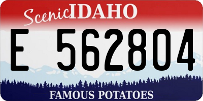 ID license plate E562804