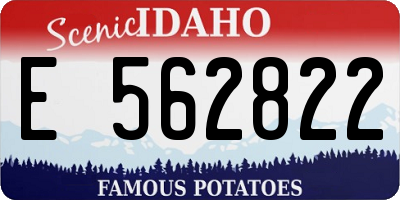 ID license plate E562822
