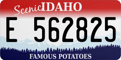 ID license plate E562825
