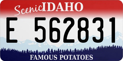 ID license plate E562831
