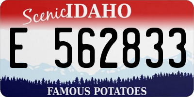 ID license plate E562833