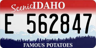 ID license plate E562847
