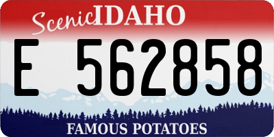 ID license plate E562858