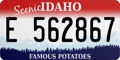 ID license plate E562867