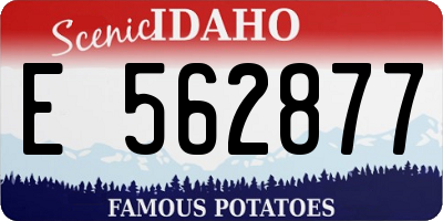 ID license plate E562877
