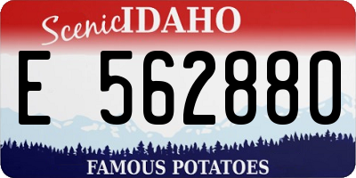 ID license plate E562880