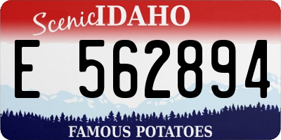 ID license plate E562894