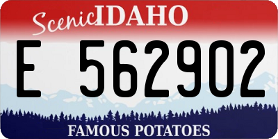 ID license plate E562902